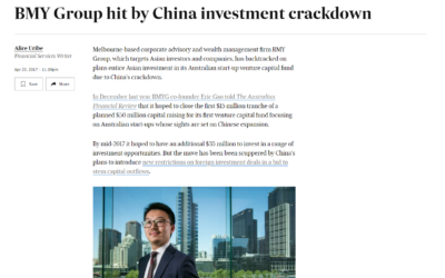 BMY Group hit by China investment crackdown