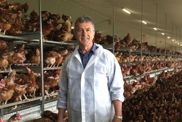 Dion Andary，他的家族拥有南澳最大的非笼养鸡蛋公司，图/ABC