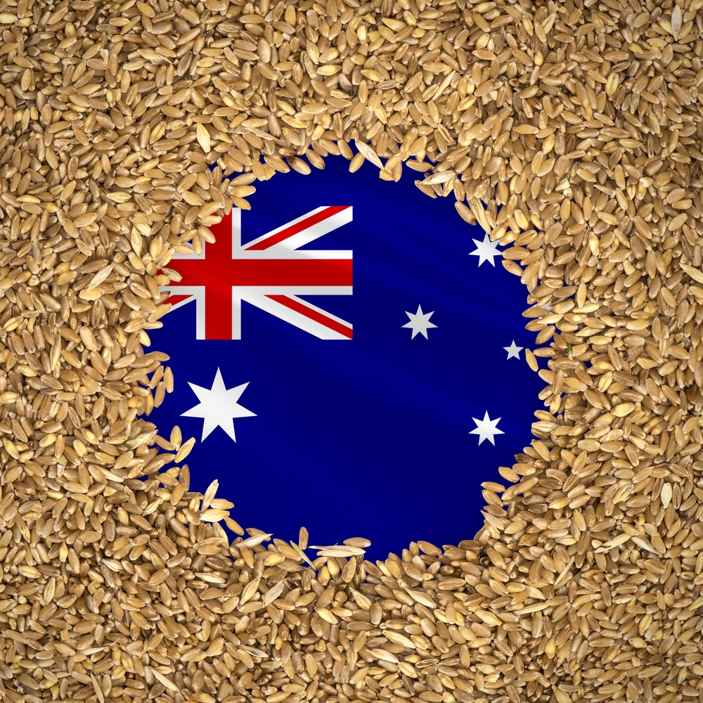 中国取消澳洲大麦80%的惩罚关税