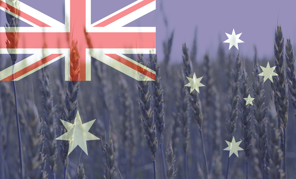 中国取消澳洲大麦80%的惩罚关税
